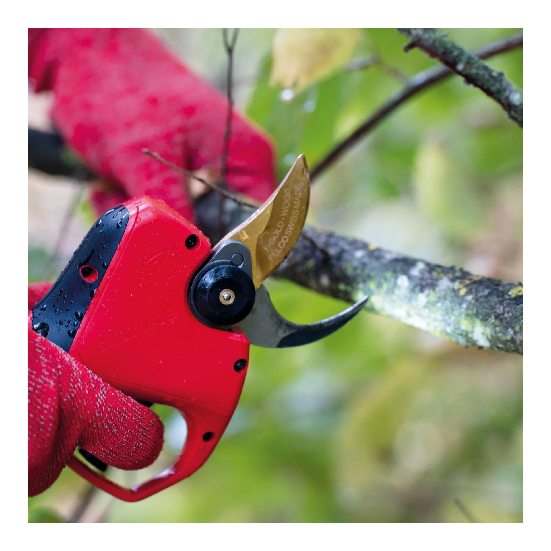 FELCO 834W - elektrische Astschere