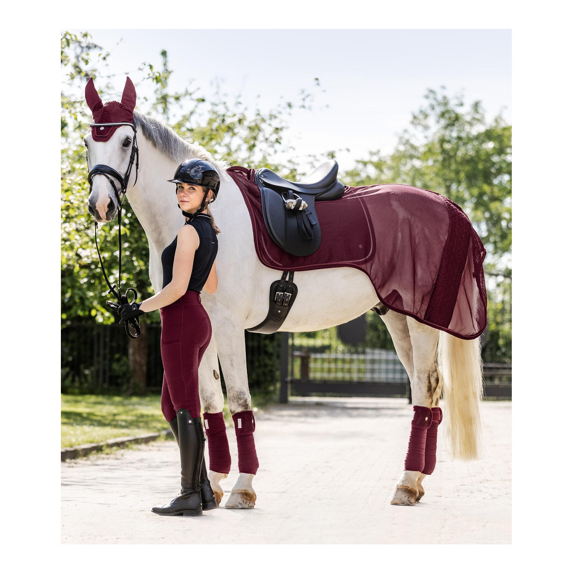 Fliegen-Ausreitdecke Rom