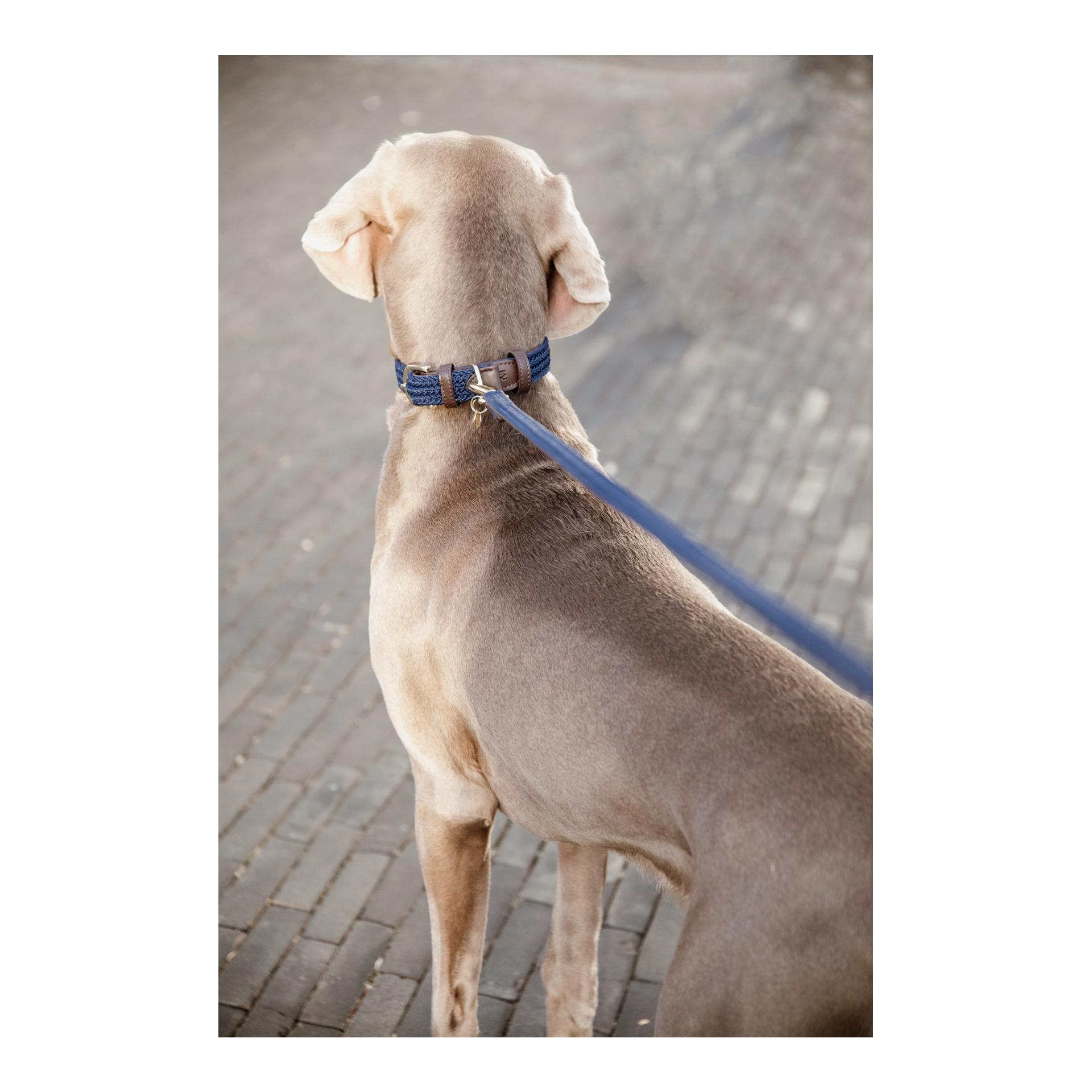 Hundeleine Nylon geflochten - navy