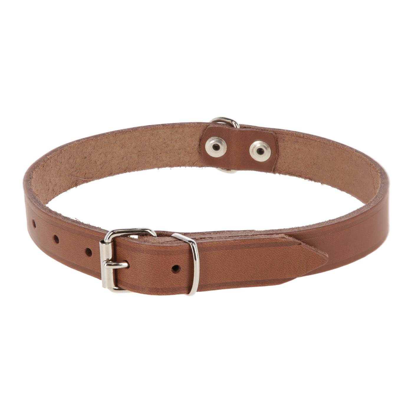 Image of Kerbl Halsband Mexica - taupe bei Hauptner.ch