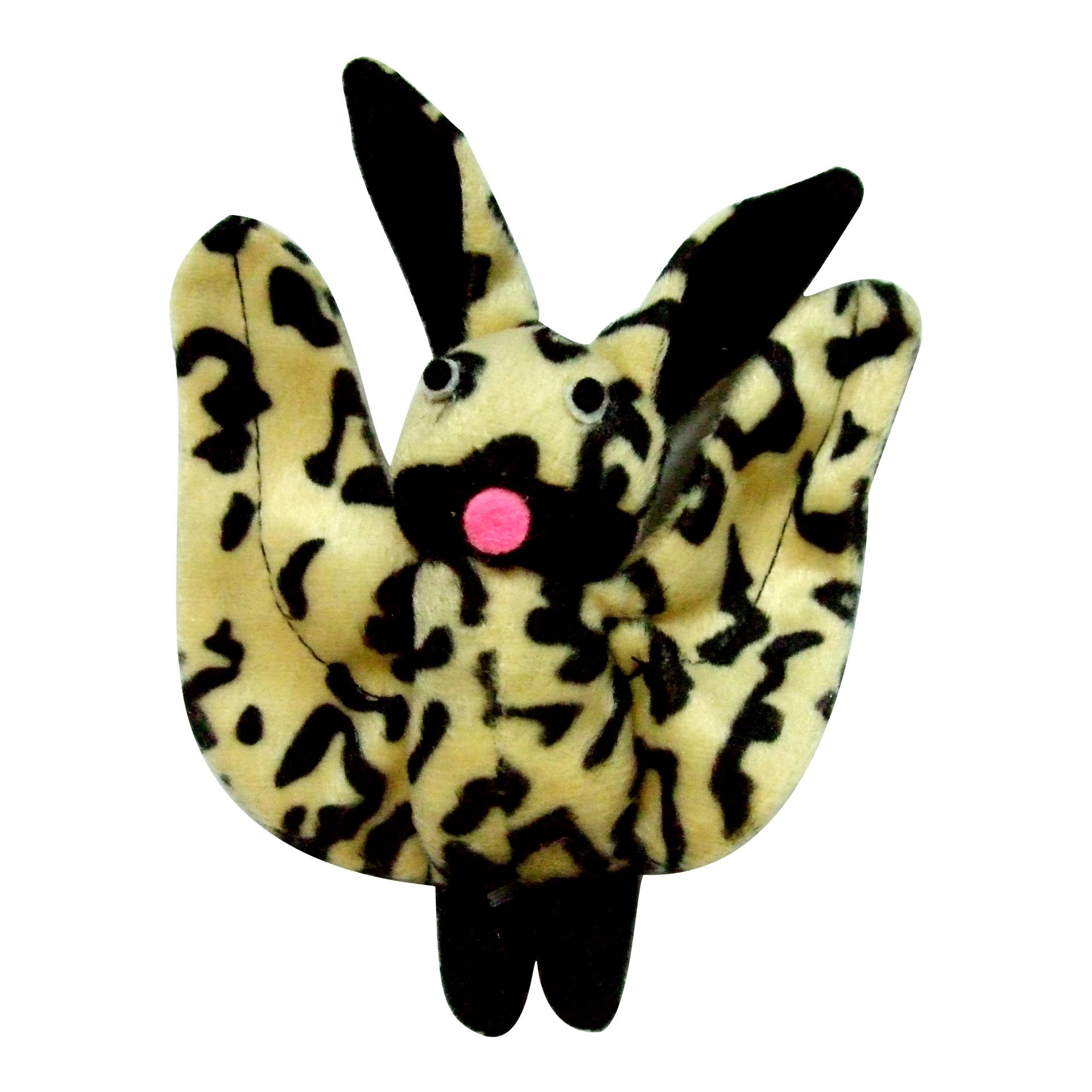 Chauve-souris avec catnio