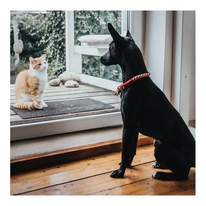 Halsung Tinnum - rot/beige