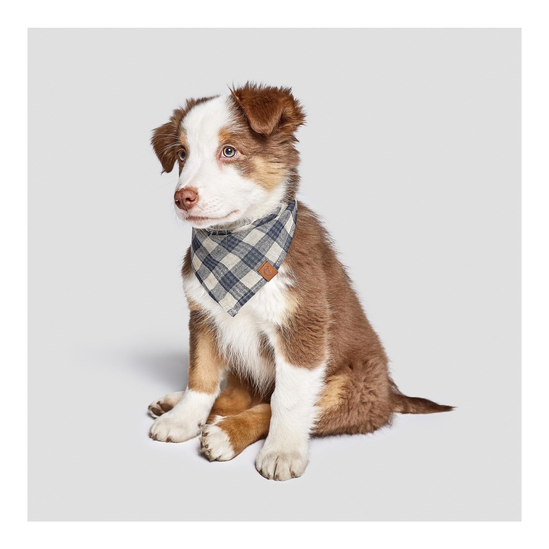 Bandana Check - blau / beige