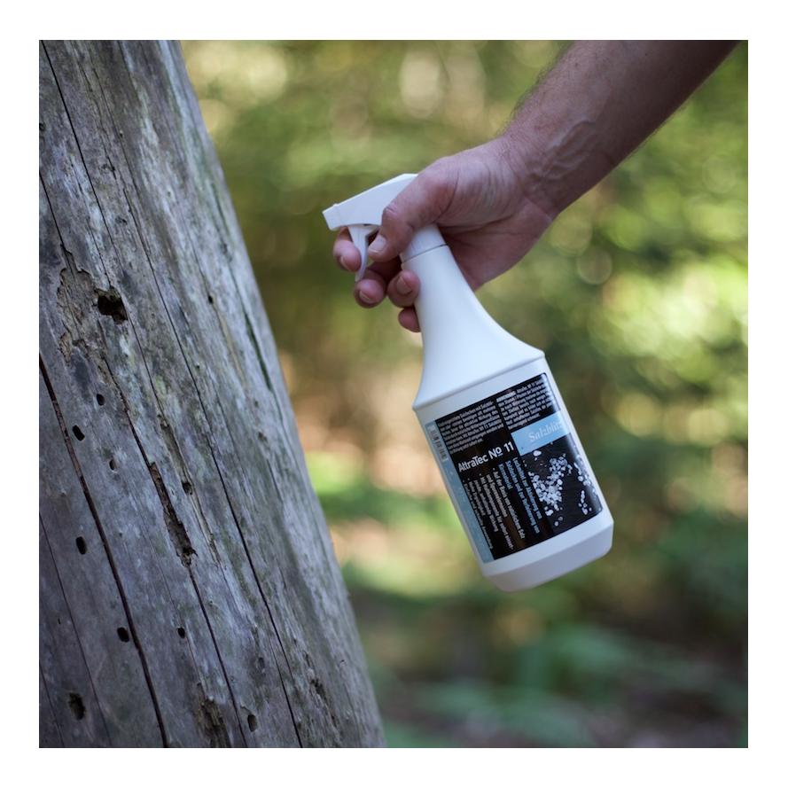 Salzblitz - Sprühflasche - AttraTec No 11