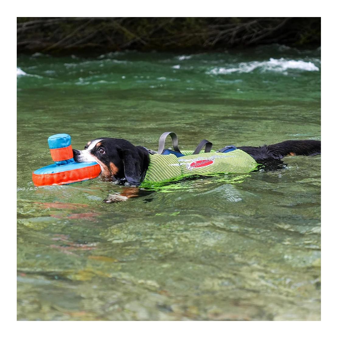 Beat Grossenbacher Gilet de sauvetage pour chiens