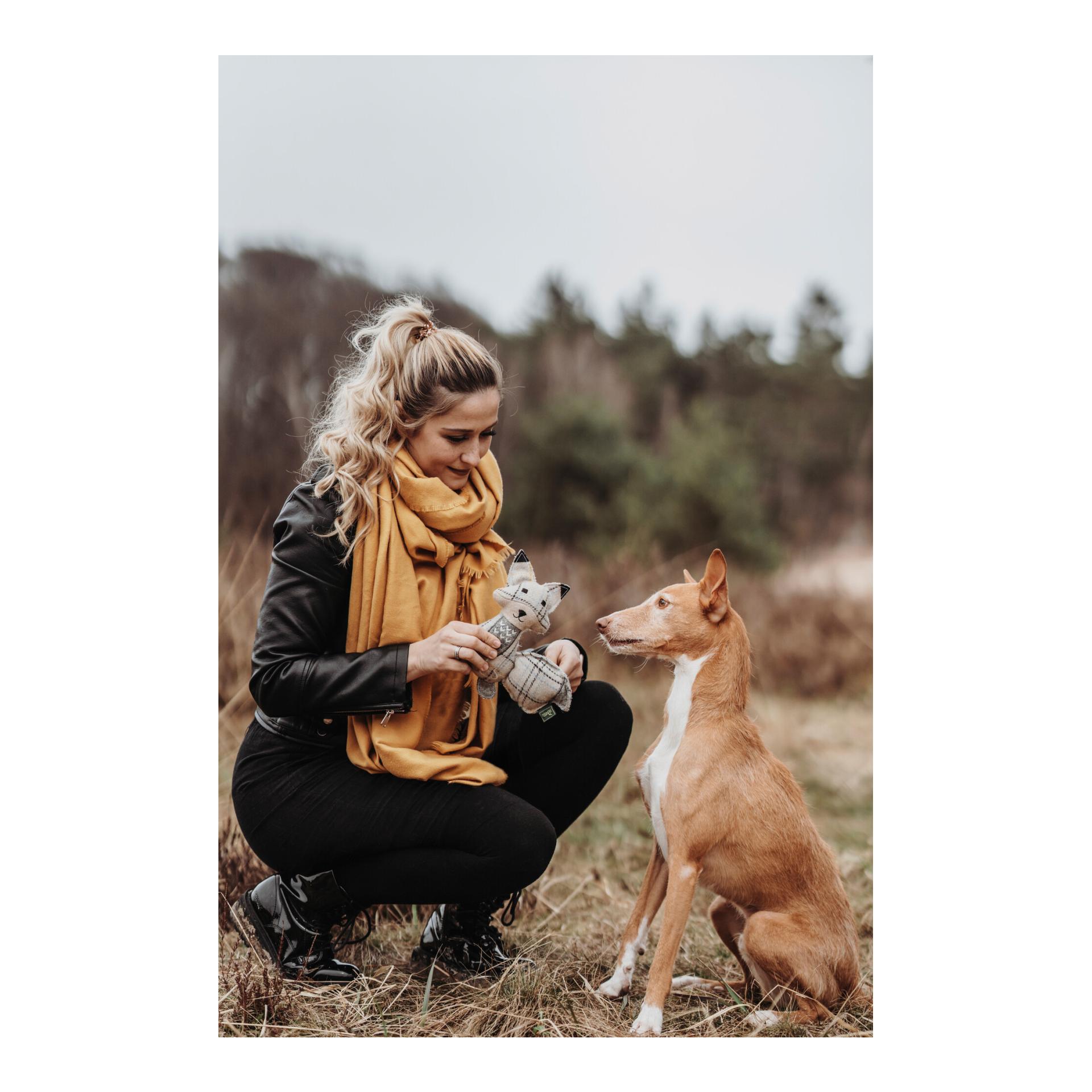 Hundespielzeug Billund Fuchs