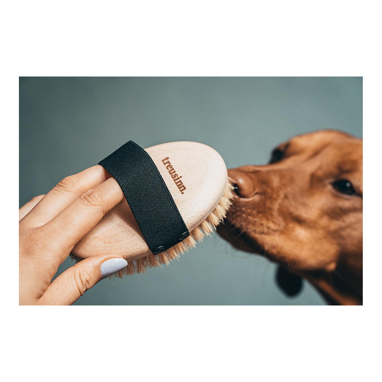 Hundebürste ZOTTL Kurzhaar