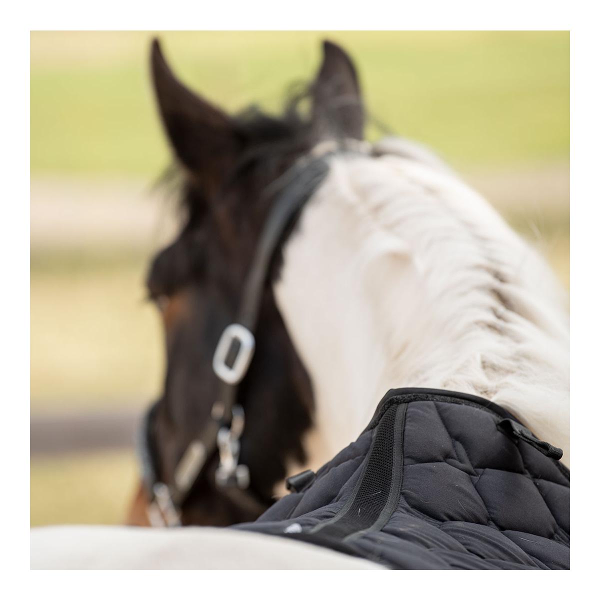 Schabracke Dressur "Black Glitter"