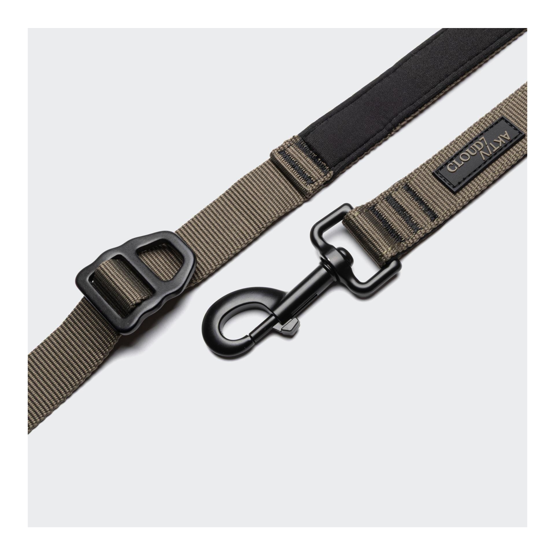 L-2 Laisse de jogging pour chien