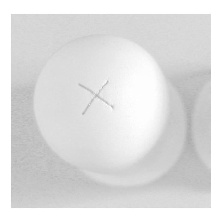 Tétines pour veaux - 5 pièces