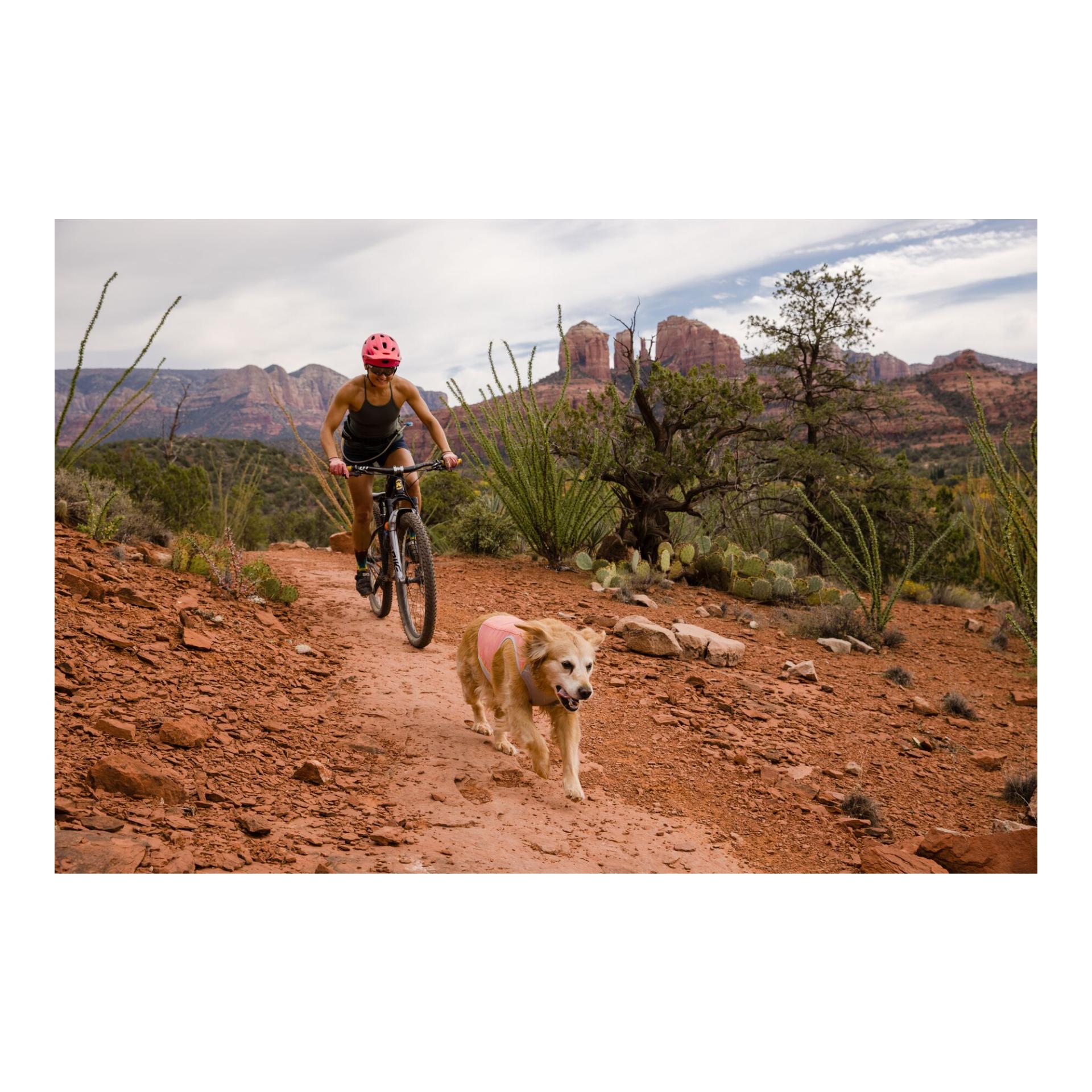 Swamp Cooler Zip™ Weste