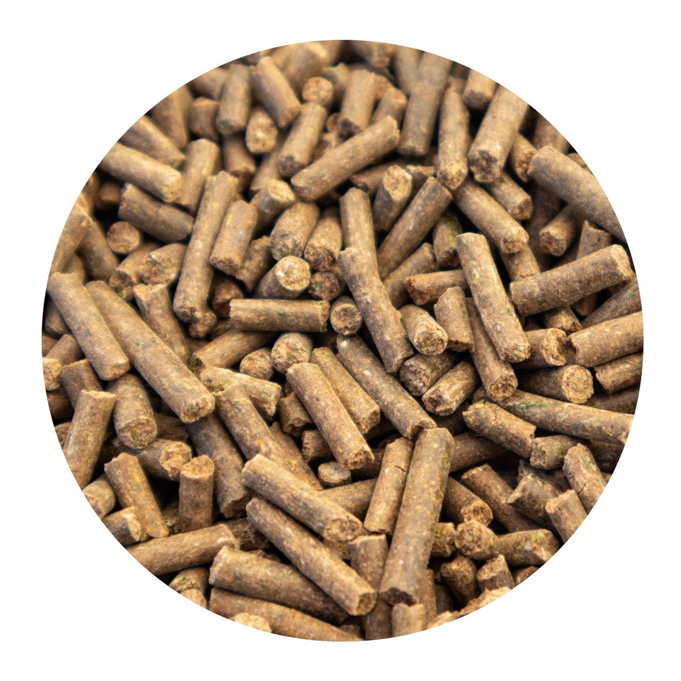 granovit Cheval Equidiams Minéral