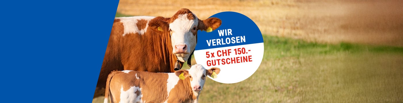 header-swissopen-verlosung06