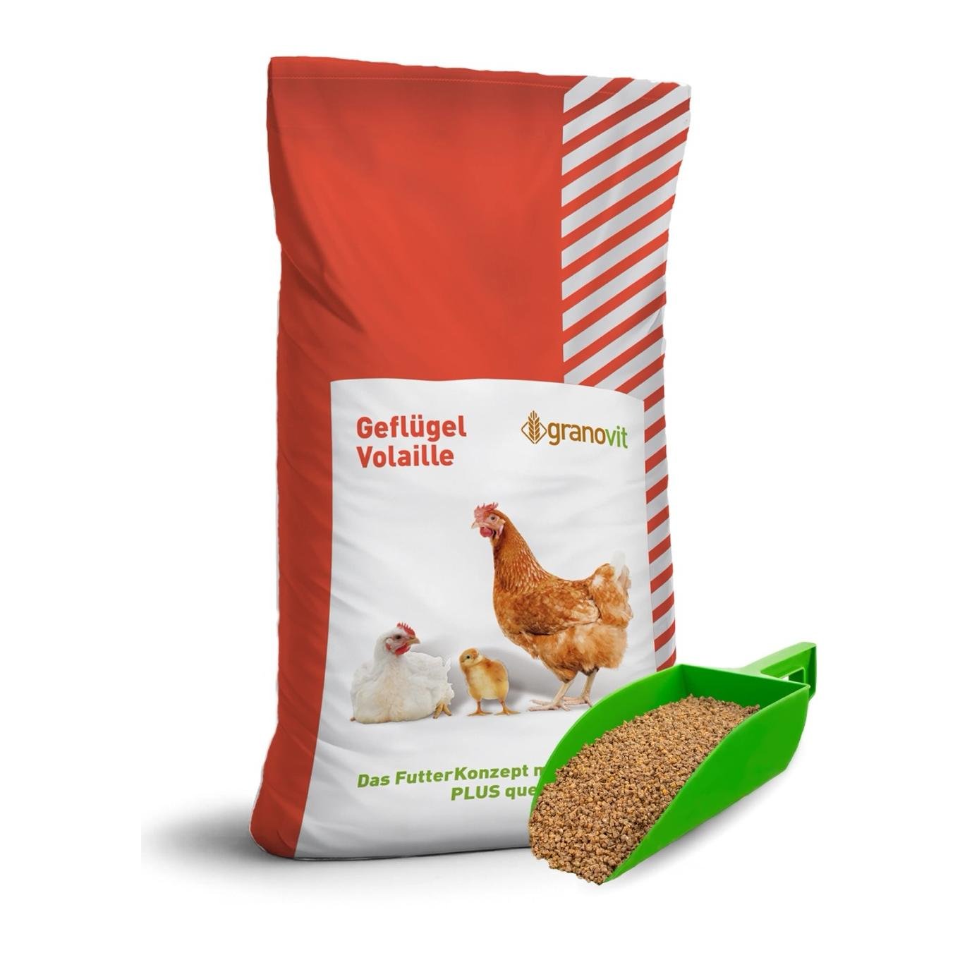 Legehennenfutter zu Körner, Granulat