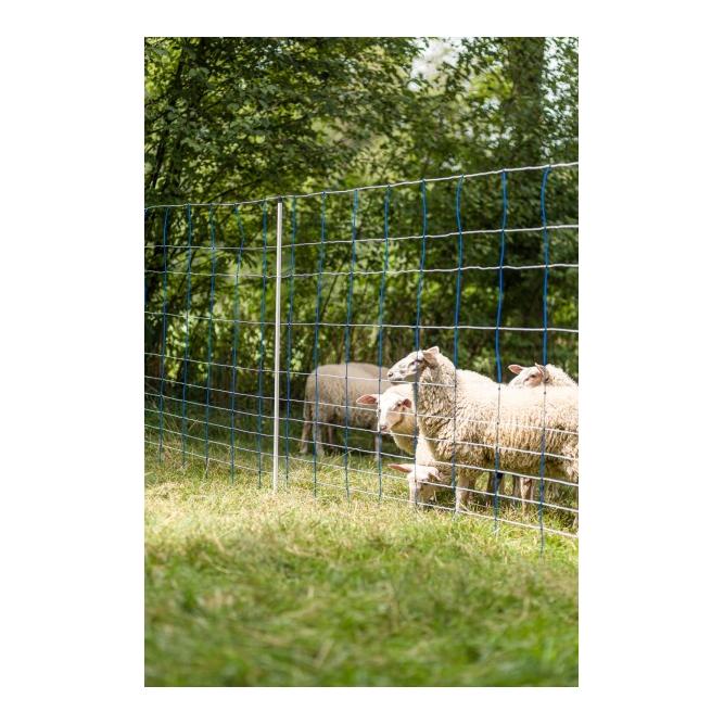 Weidenetz TitanNet - Doppelspitz