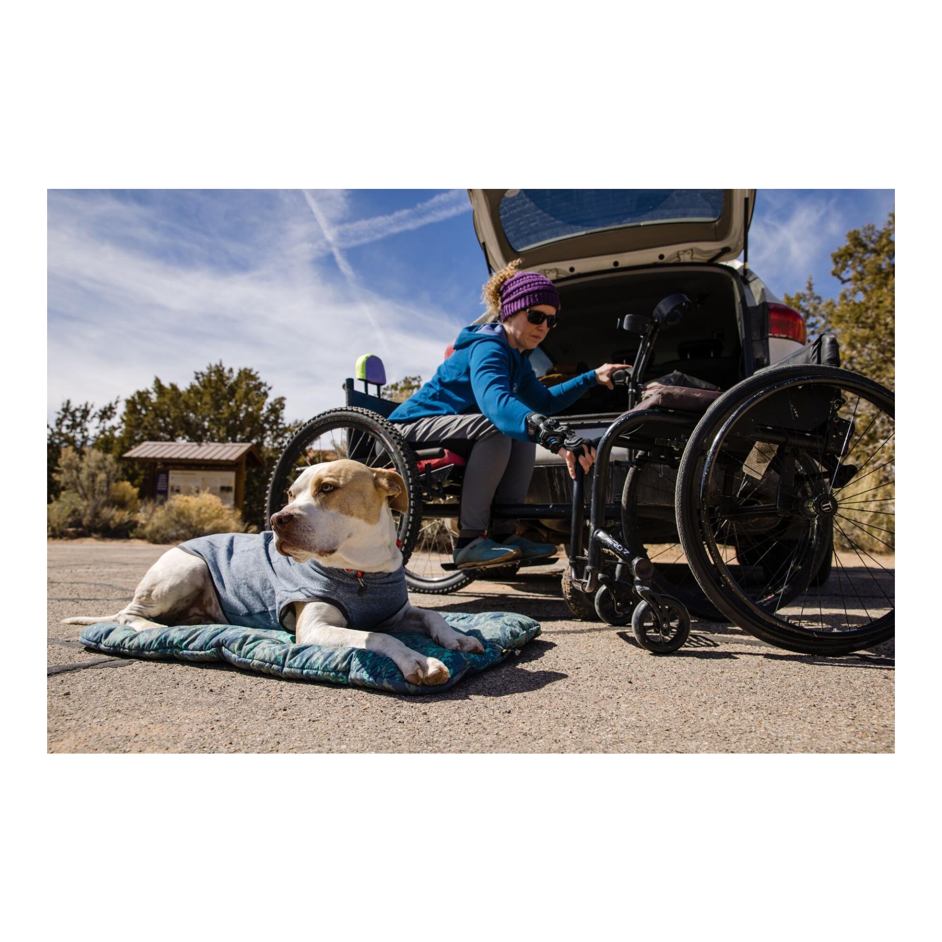 Hemp Hound™ Pullover