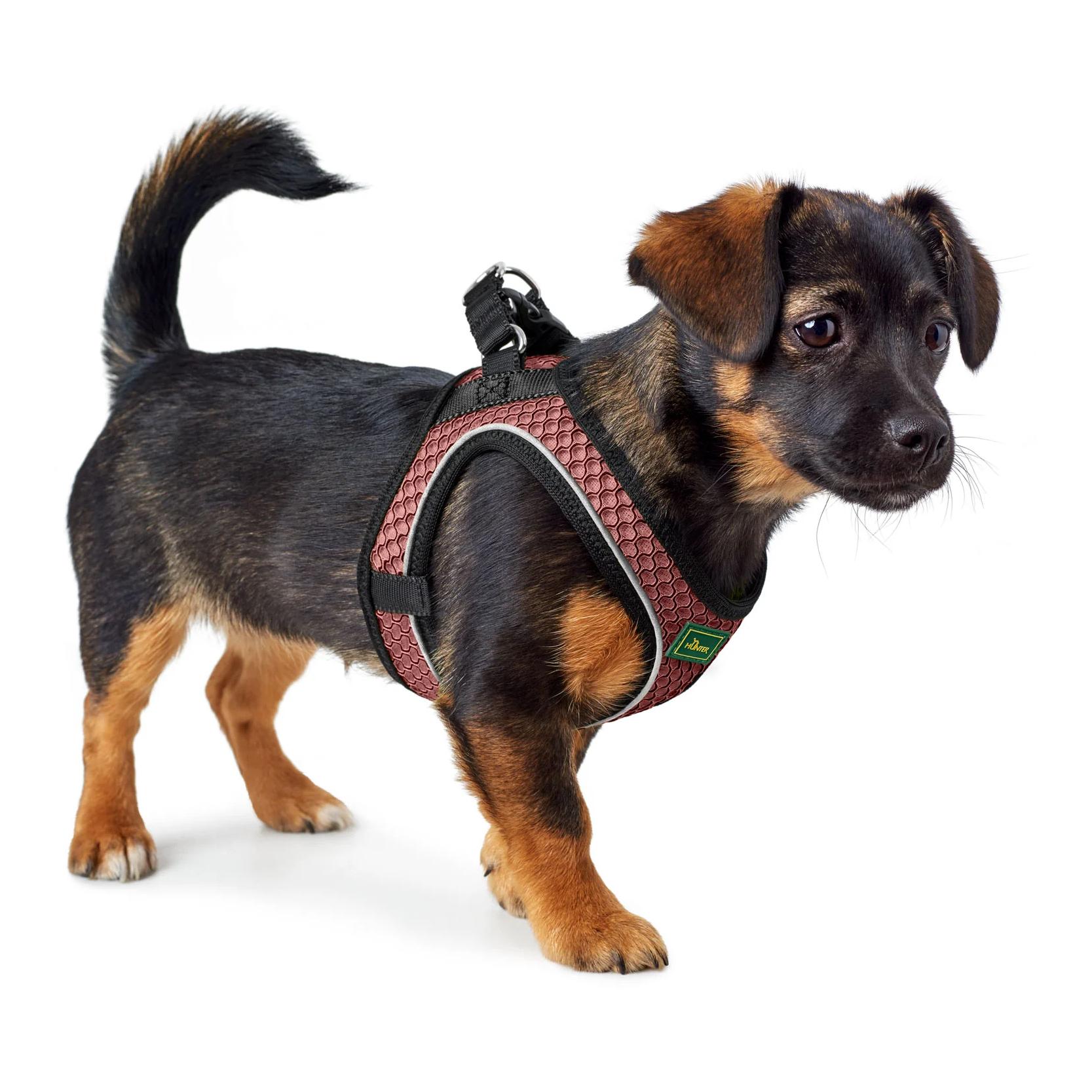 Hundegeschirr Hilo Comfort