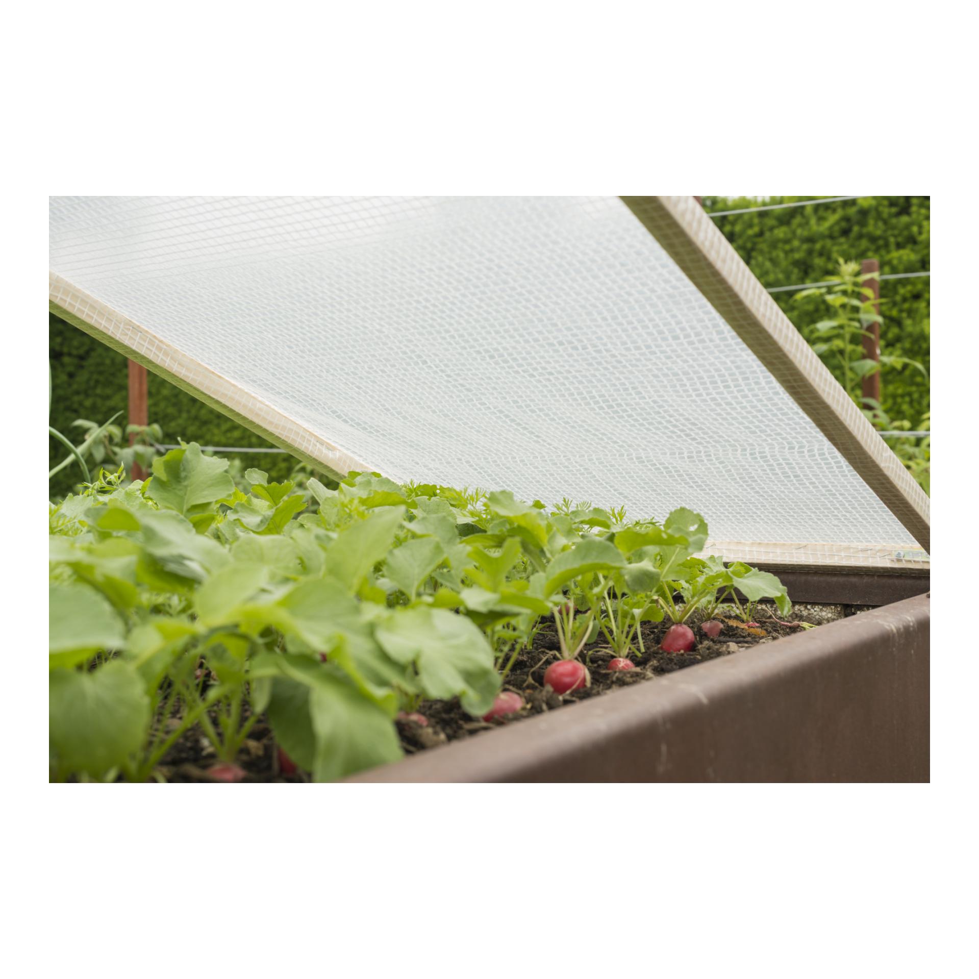 Windhager Film grillagé standard