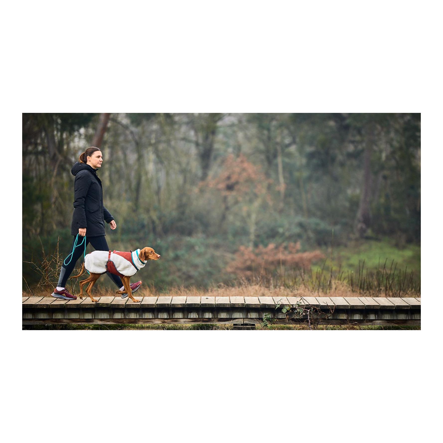 Laisse pour chien Trekking Rope Leash, 8mm