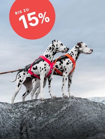 HP_ShopBanner_NonStopDogwear_DE