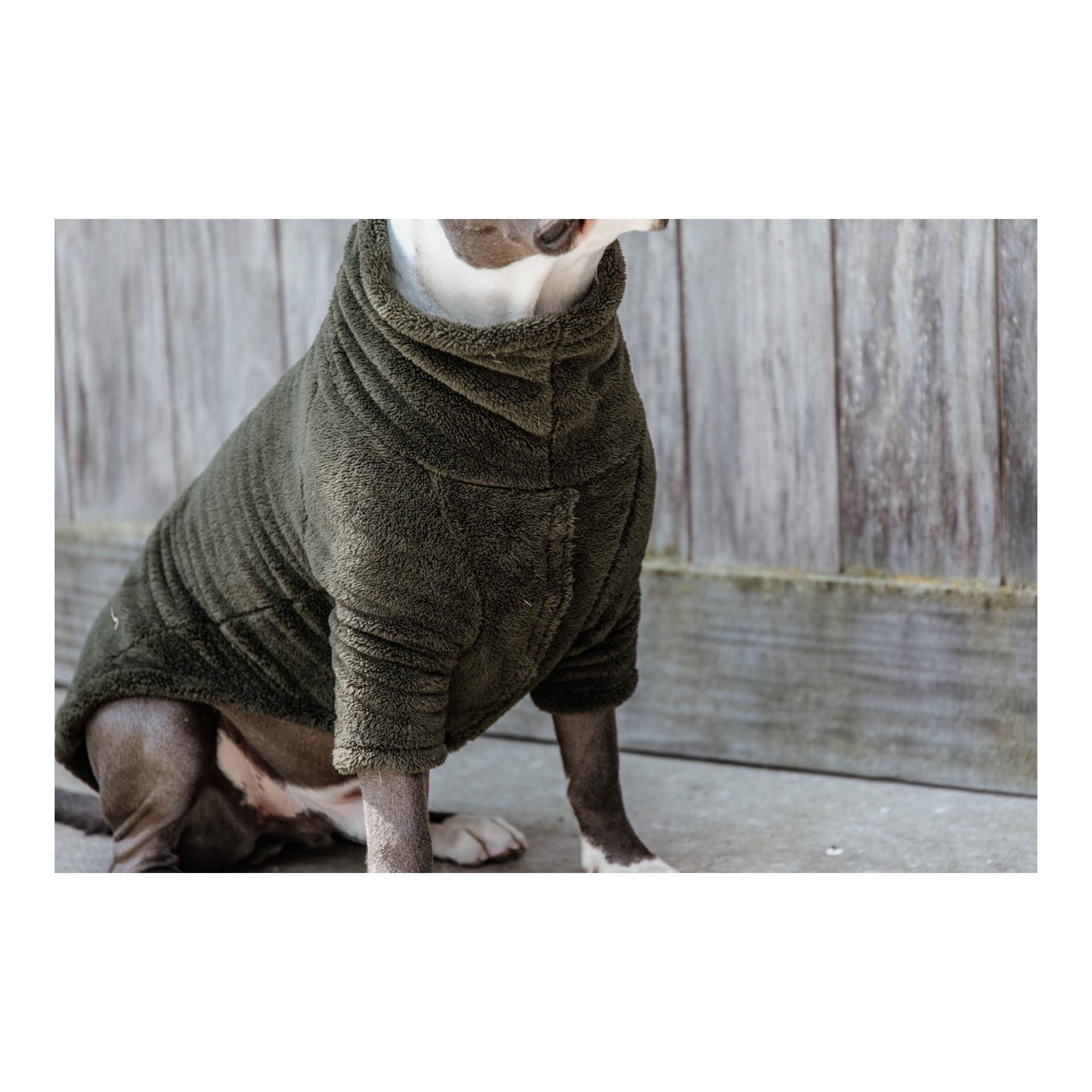 Hundepullover Teddy Fleece - Pine Green