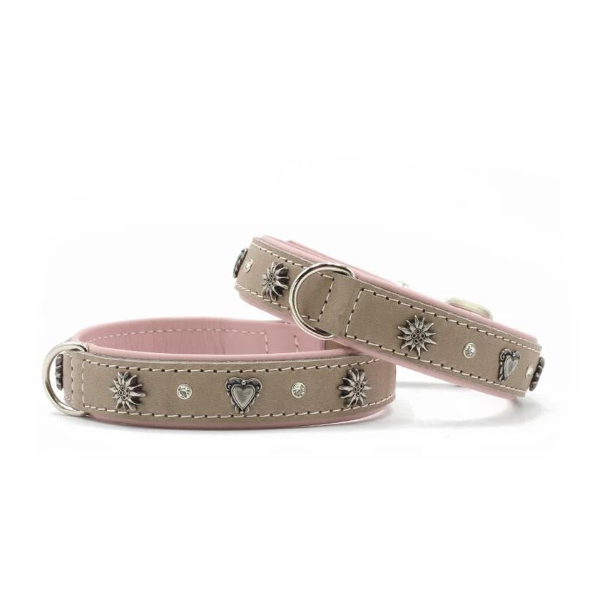 Hundehalsband Herzblatt