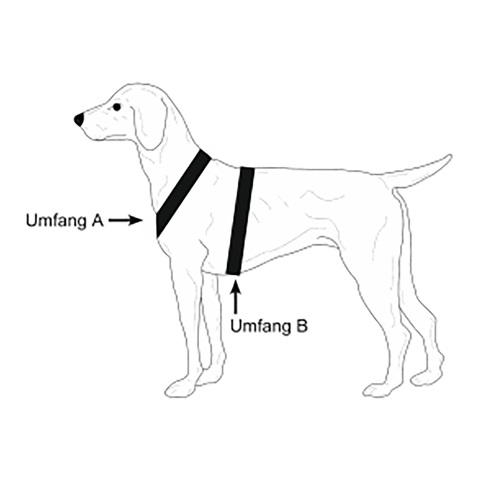 Hundeführgeschirr Follow Light