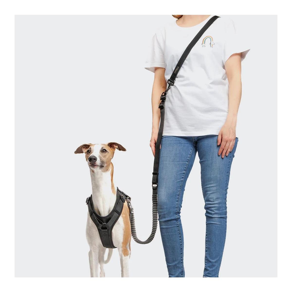 L-2 Laisse de jogging pour chien