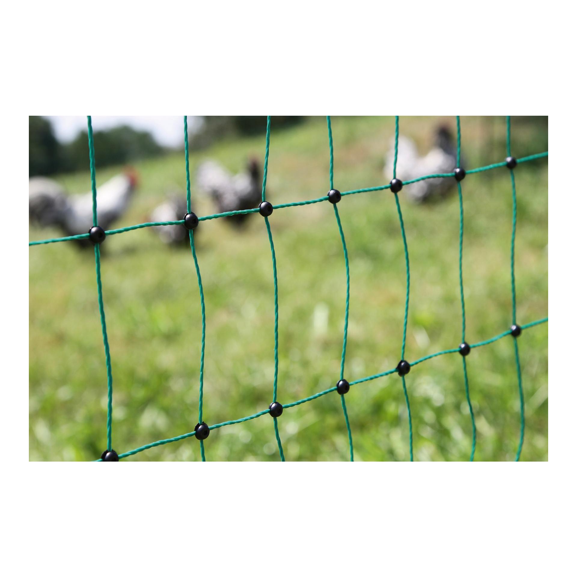 Geflügelnetz PoultryNet - Doppelspitz