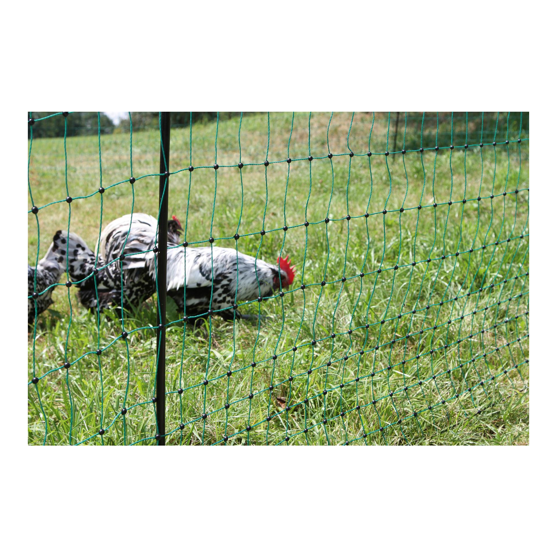 Geflügelnetz PoultryNet - Doppelspitz