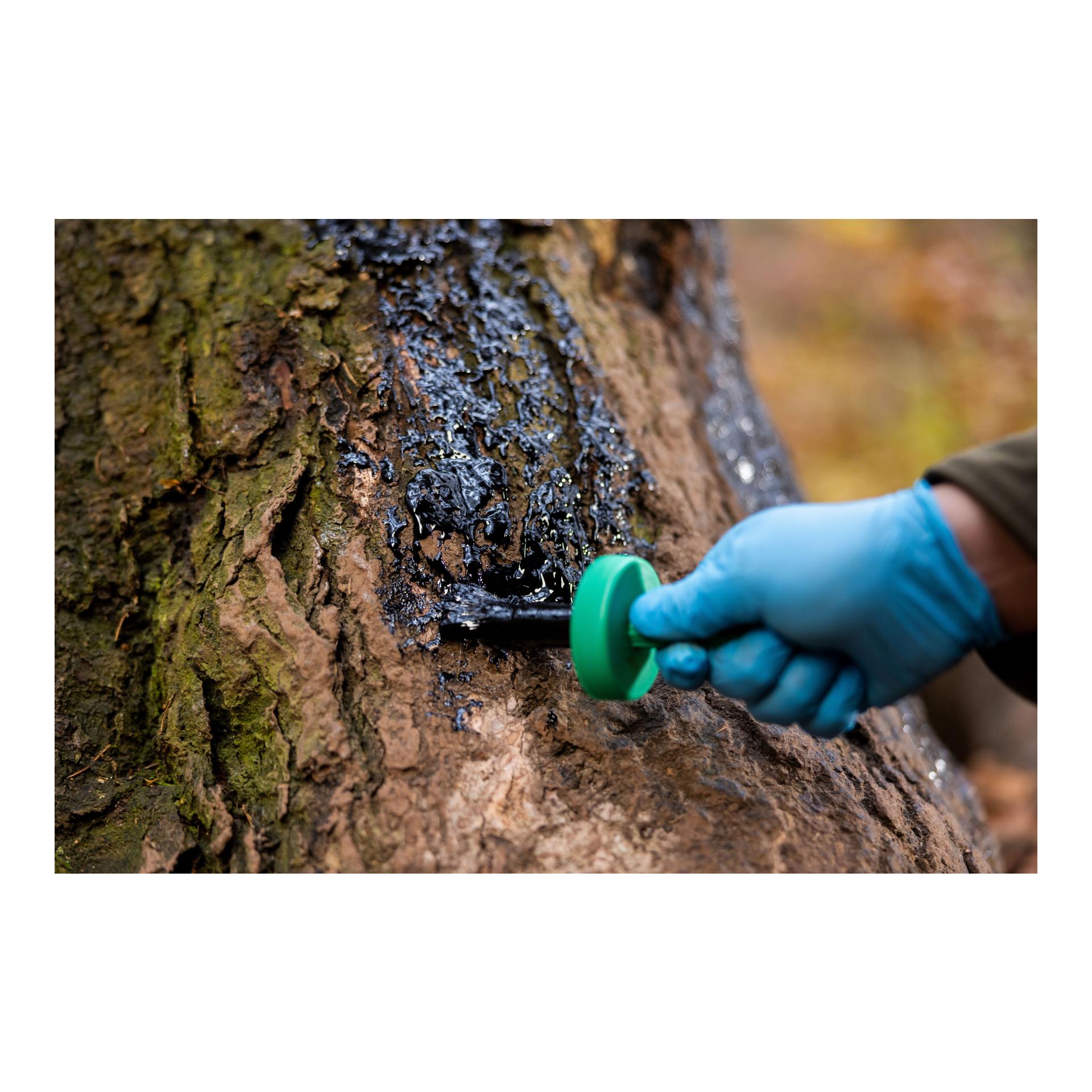 Weisskirchen Buchenholzteer - 500 ml Dose + Pinsel