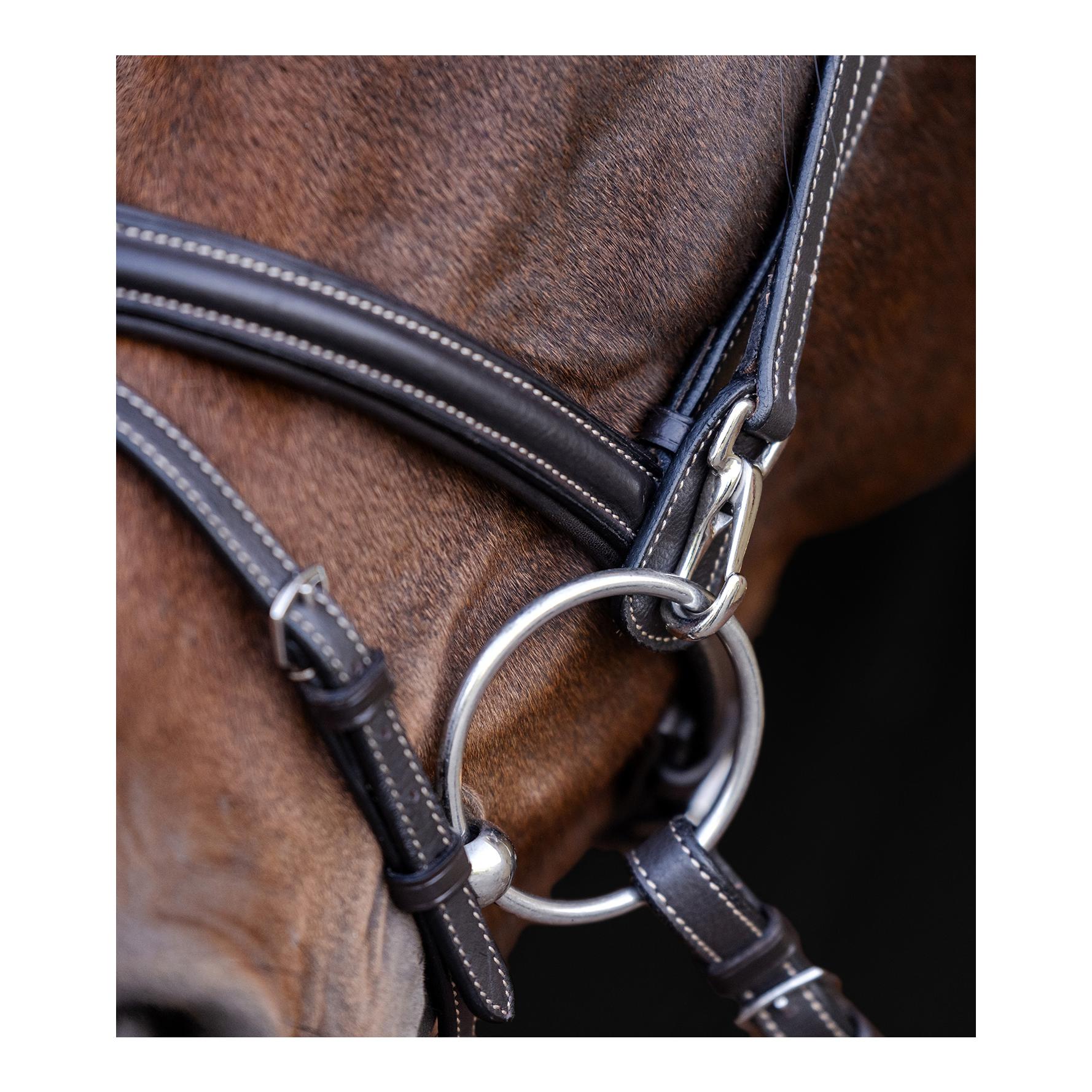 Waldhausen X-Line Trensenzaum Work