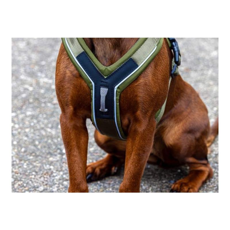 Kerbl Pet Hundegeschirr Dallas