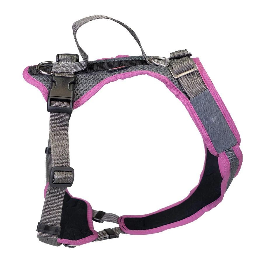 Harnais pour chien Vary