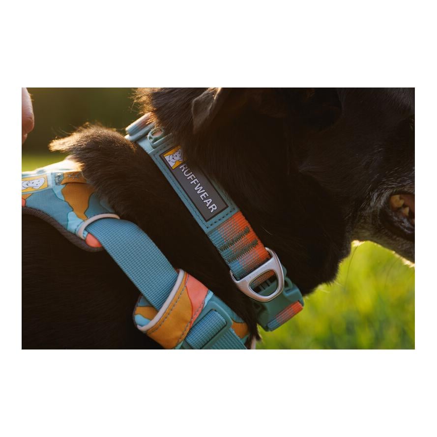 Ruffwear Front Range™ Collier de chien 