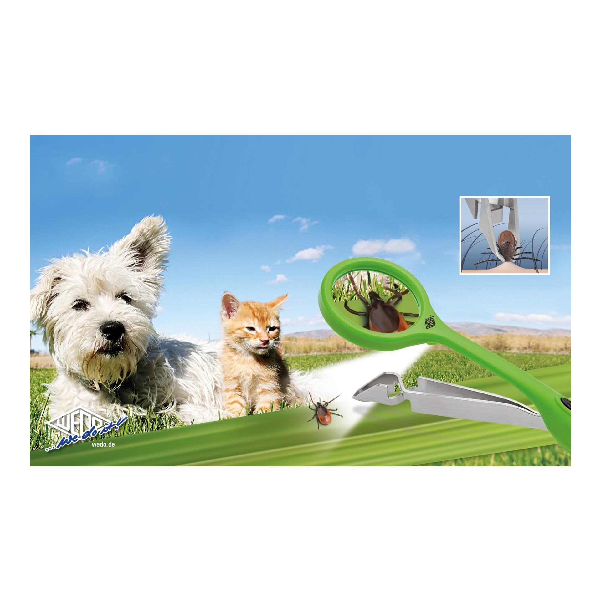 Quickex Zeckenzange mit Lupe und LED