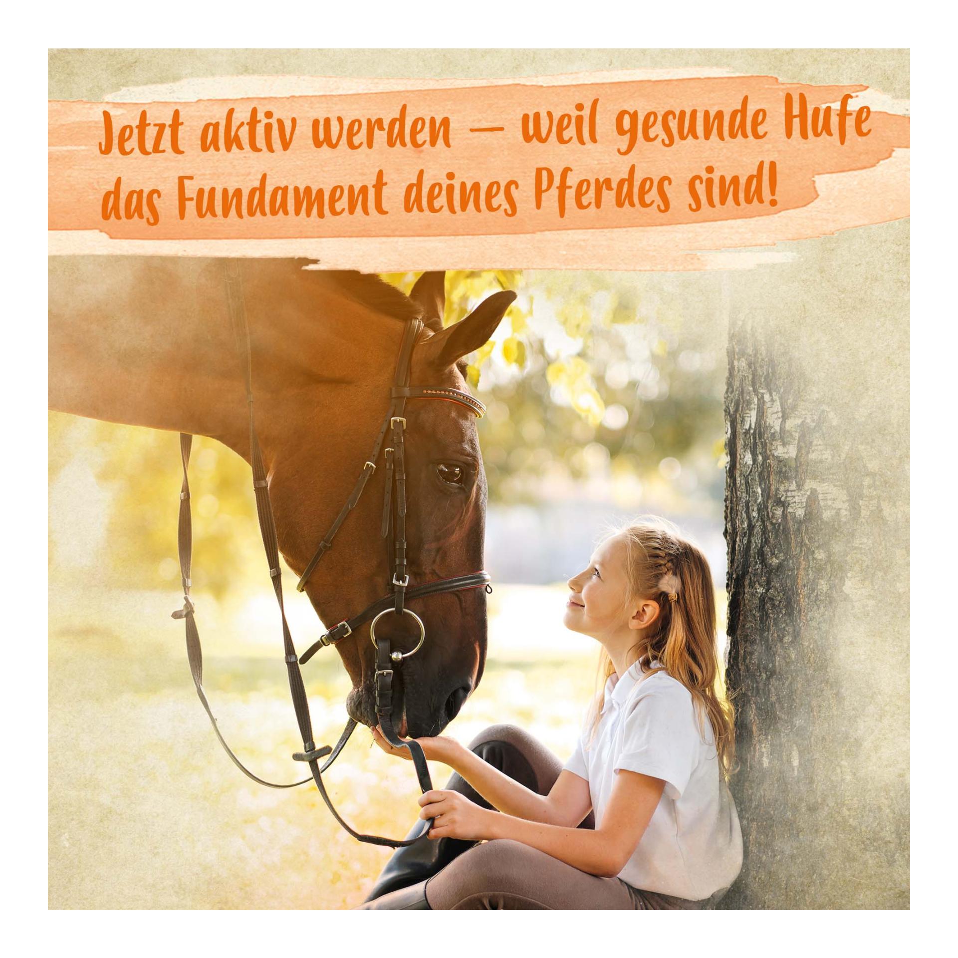 Biotin + Zink für Pferde - hochdosiert - verbessert Hufqualität & Hufwachstum 