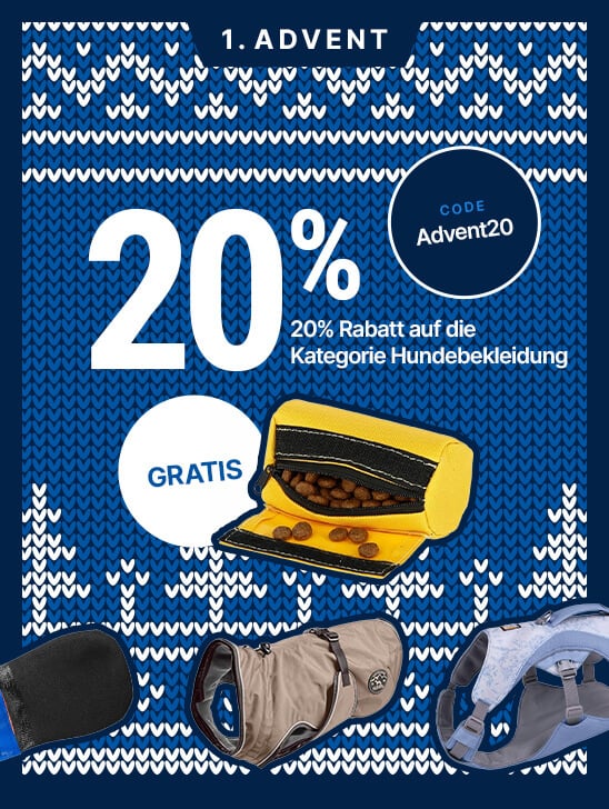 HP-Adventsaktionen-EKW-548x728-2x-startpage-DE-1