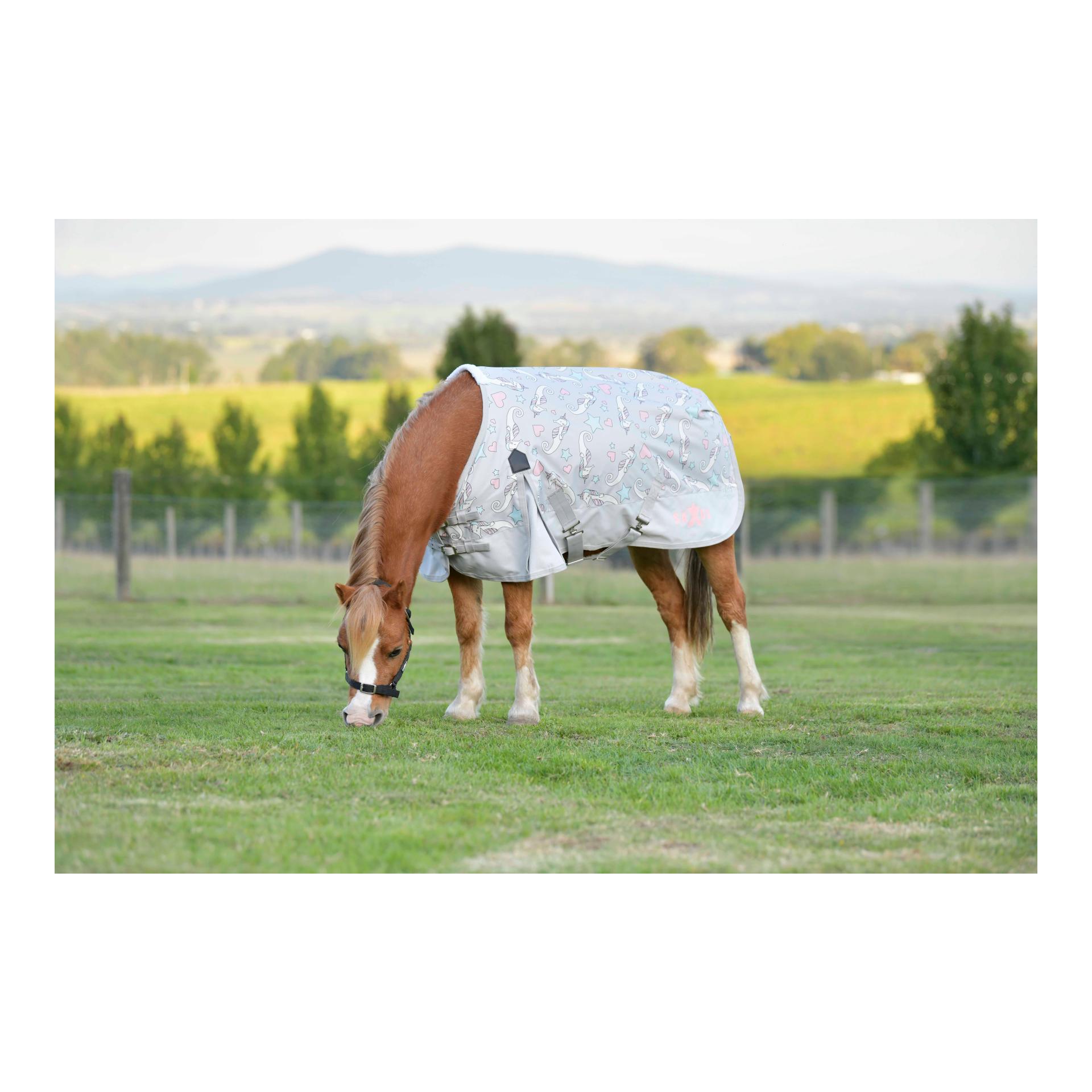 Couverture poney lite 0g