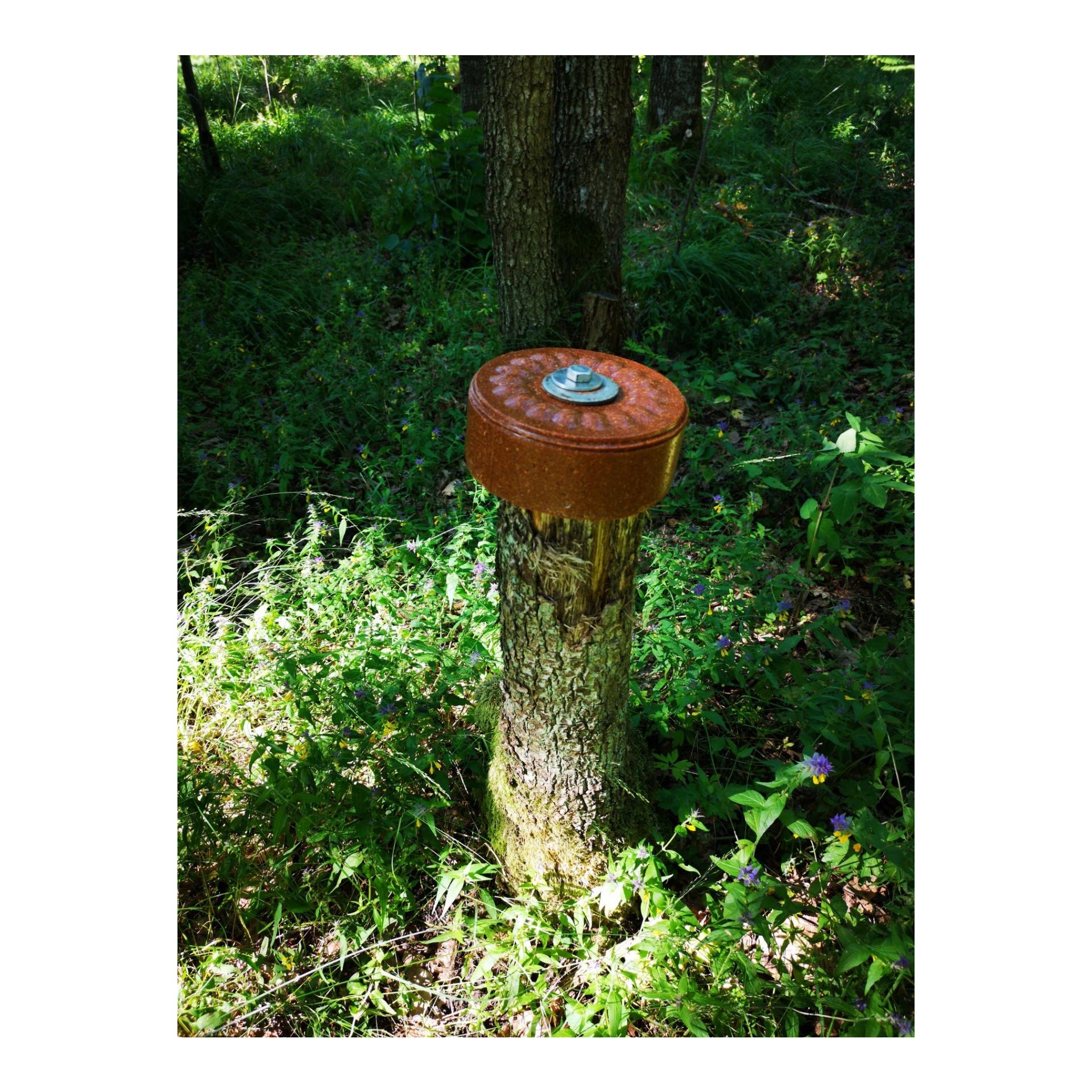 Befestigungsset Baumanbringung für Lecksteine