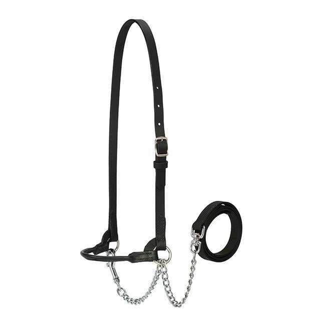 Milchviehshowhalfter