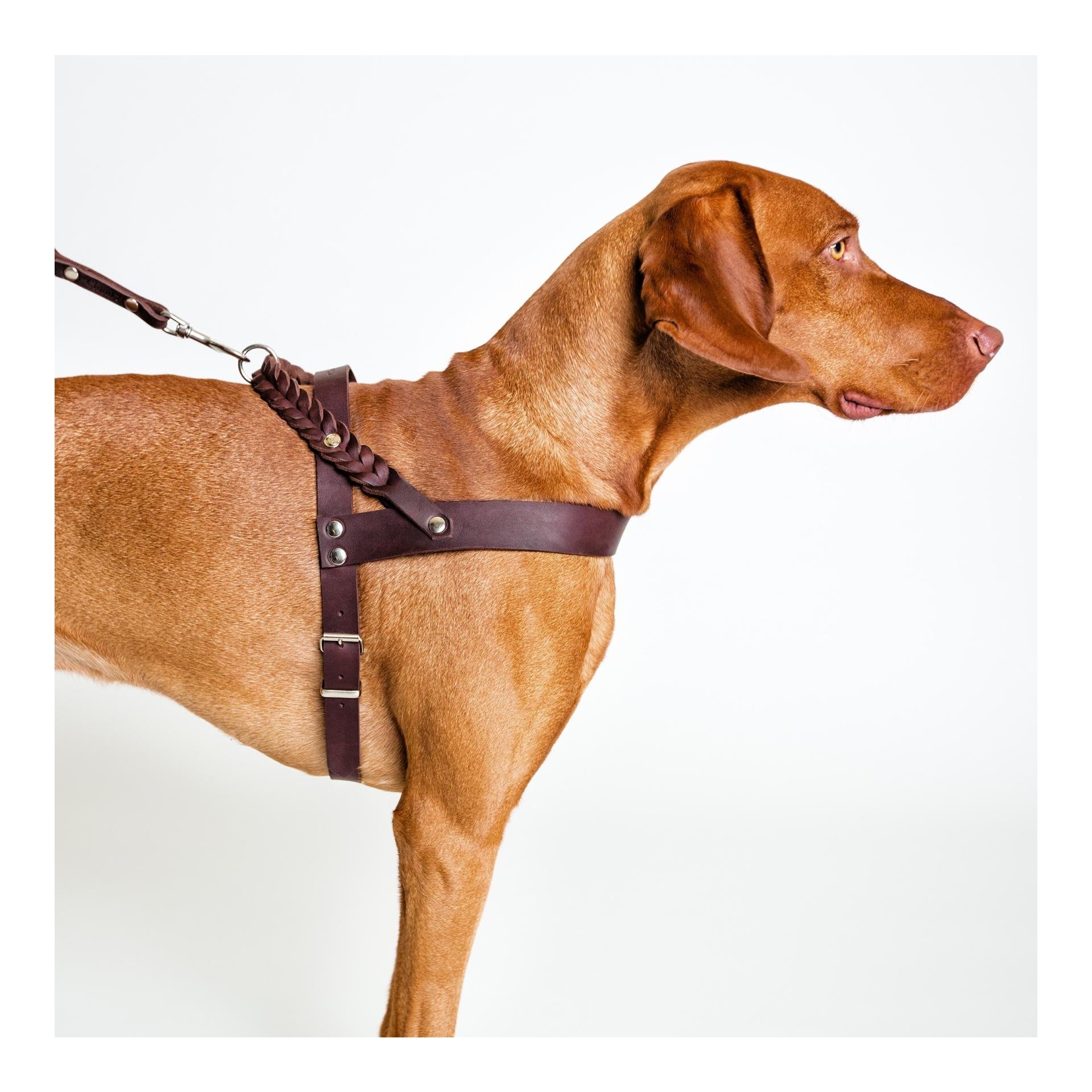 Geschirr Central Park Saddle Brown Echtleder