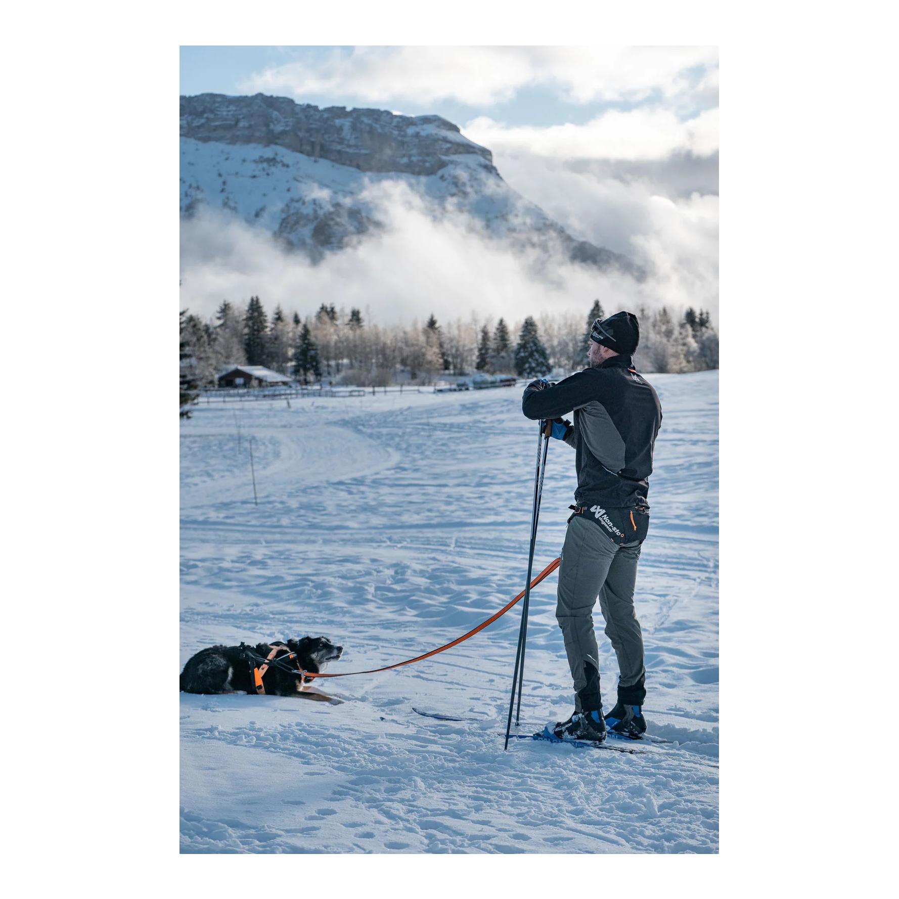 Løype Belt Pro - Ergonomischer Hundegurt für Skijöring