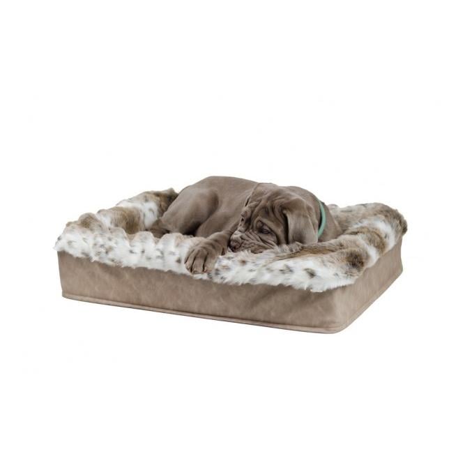 Dogspring by MAUL Lit pour chien Buddelbox®