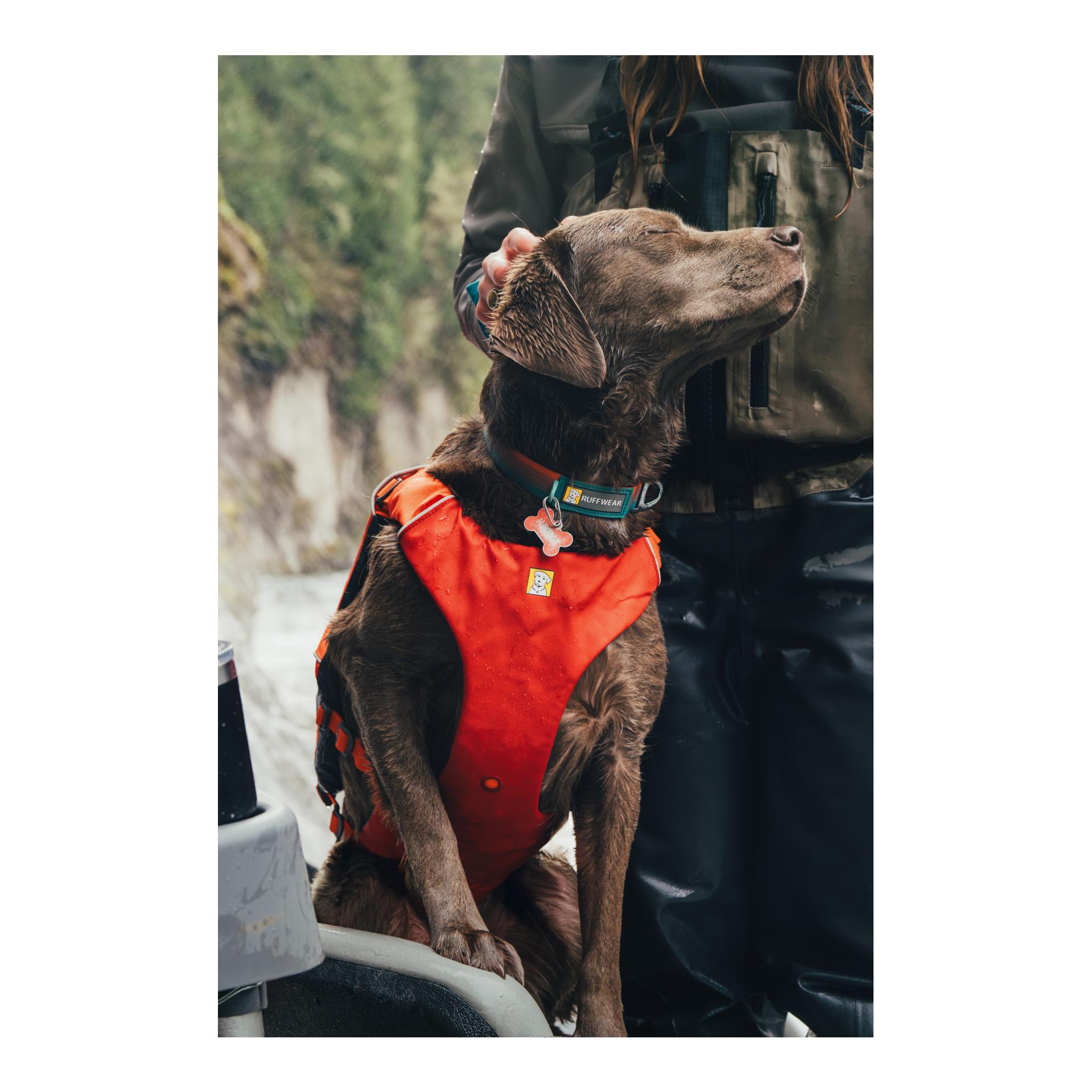 Ruffwear Schwimmweste Confluence Life Jacket