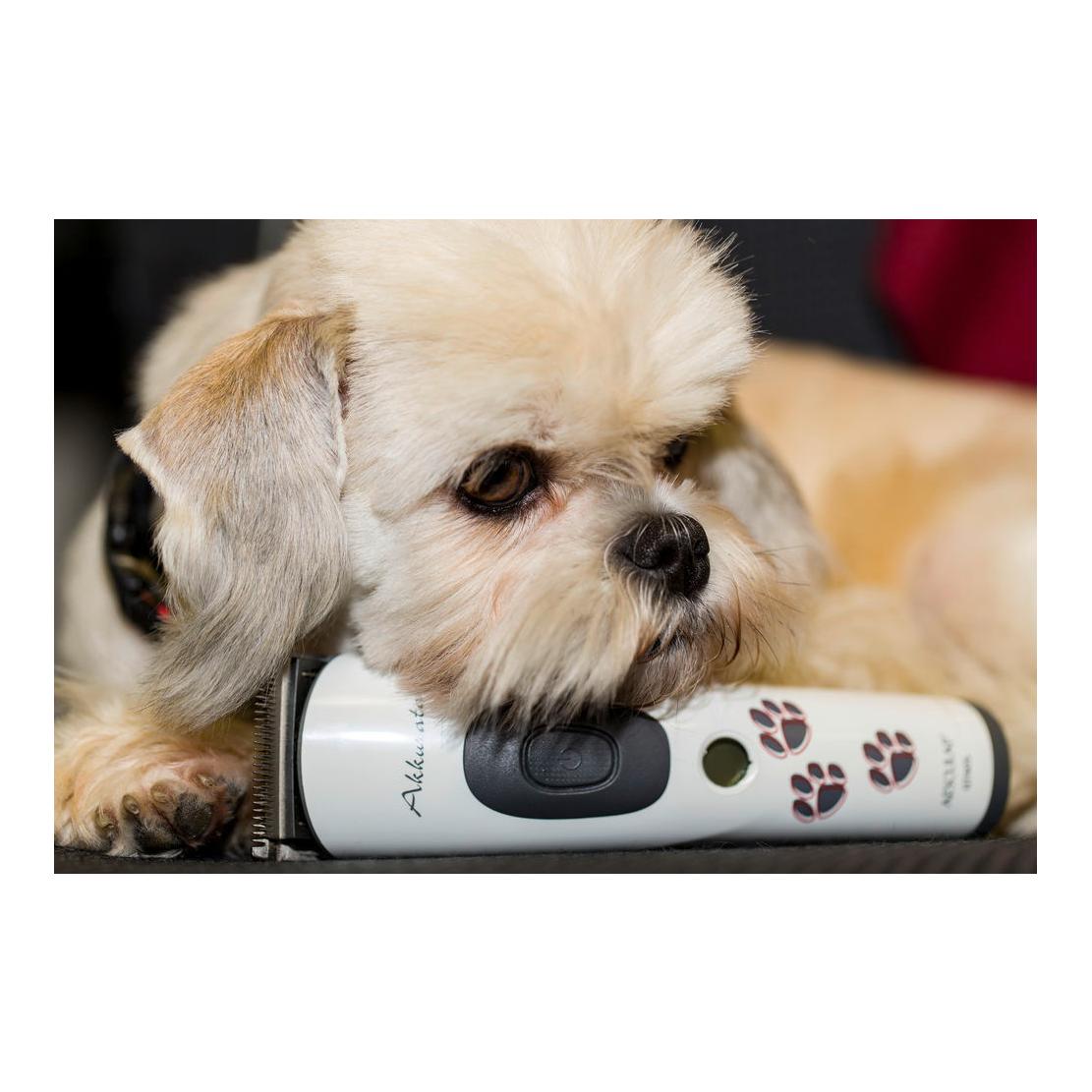 Akkuschermaschine Akkurata