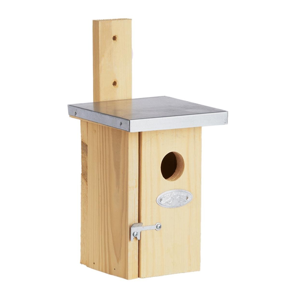 Nistkasten Zaunkönig