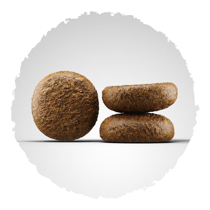 Trockenfutter SeniorPlus