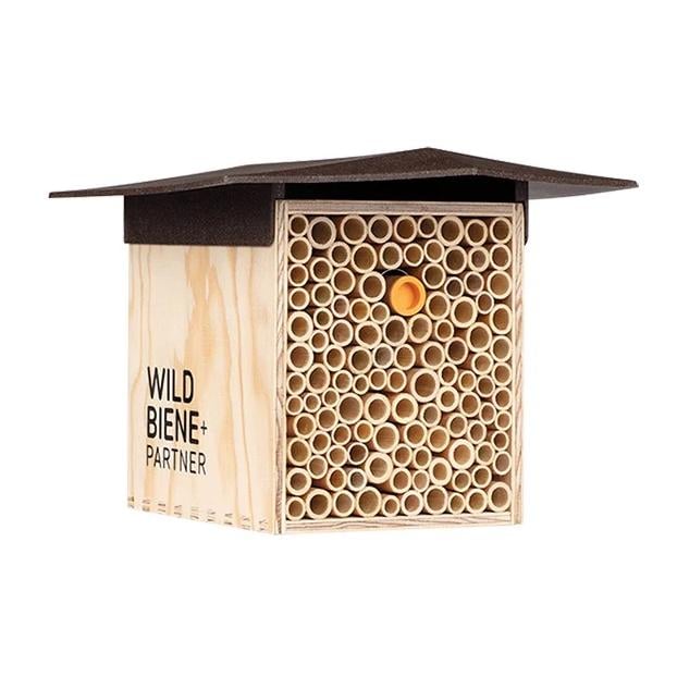 BeeHome One