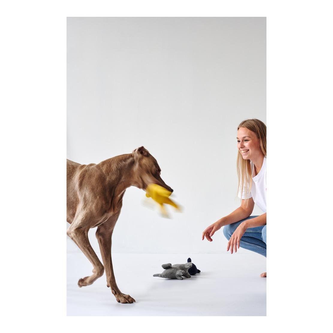 Jouet pour chien Eiby Baleine - bleu